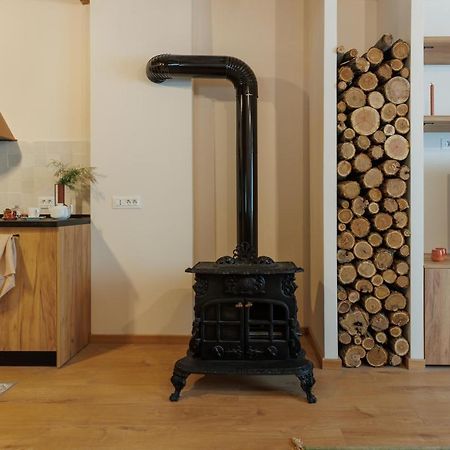 Roua Ludica Apartments Brassó Kültér fotó